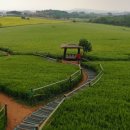 모량농장 이미지