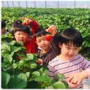 자이스타태권도장 이미지