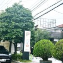 사러가약국 | 서울 서대문구 연희동ㅣ유기농 식재료가 가득한 ‘사러가’ 마트