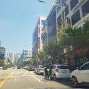도화오거리 | 마포구운전연수 도전과 성장의 기록 공개