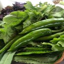 통나무산장 이미지