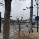 월산목장 이미지