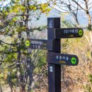 공설운동장 입구 3 이미지