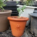 해천농장 이미지