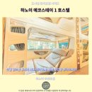 스테이에코 | 하노이 숙소 추천 에코스테이 1호스텔 후기