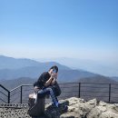 진골가든 이미지