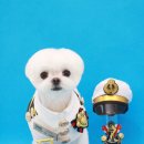 빵그루밍 이미지