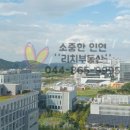 소담동 한국전력공사 앞 이미지