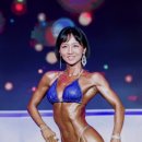 헬스이용