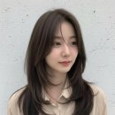 본레이크 이미지