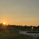 갯골생태공원 이미지