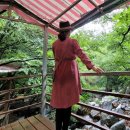 정수산장펜션 이미지