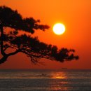 장미무도장 이미지