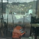 이마트24 R계산미래점 | “한화이글스 정우주”달빛식탁 방문후기,꿀팁