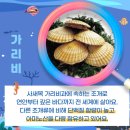 코리아수산 티스토리