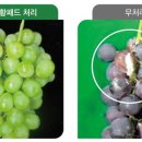 ㈜탑프레쉬 이미지