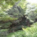 천곡사 계곡 이미지