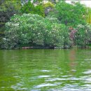 서호달빛 이미지