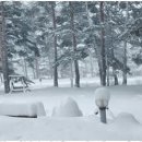 소나무황토펜션 이미지