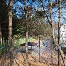 봉제산 강서다목적체육관 이미지