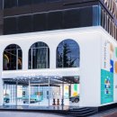 지엠모터스 이미지