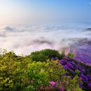 사주명리·성명학 이미지