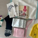 행정37 | 임신기록#8 김해 바우처택시 이용후기 및 산후도우미 업체 계약(36주~37주)