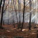 현대노원정비센터 이미지