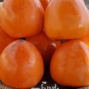 삼화농장 이미지