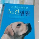 똘이서점
