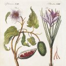 기초 보태니컬아트 기법 이미지