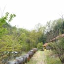 소집농장 이미지