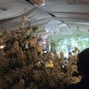 메리엘 | 강남세인트메리엘 결혼식장 당일계약 후기 (웨딩북 어플,주차, 뷔페, 버진로드, 메리엘홀)