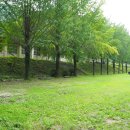 세성초 향산분교 이미지