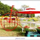 국화축제장 입구 이미지