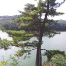 엄지마을 이미지