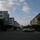 사파동128 이미지