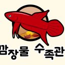 비공개수족관