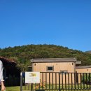 리틀 타이니 하우스 이미지