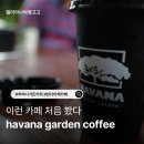 커피가든 - 서구 대영로73번길 66 | 인도네시아 최고의 감성 카페 하바나 가든 커피 havana garden coffee 솔직 후기