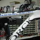 독일 마이스터 감성 스톡 STROCK REBEL SEVEN 이미지