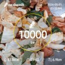 5월1일 고사리밭 잡목정리 이미지