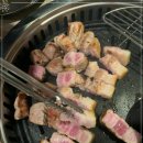 봉고기