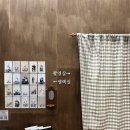 옐로우문 스튜디오 | 다비스튜디오 • 배곧 셀프 사진관 • 반려견 사진관 • 방문 후기🐶📸