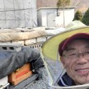 송안농장 Daum카페