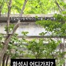 정조양조장