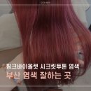 부산 염색잘하는 곳, 전체 탈색이 부담스러울 땐 시크릿투톤 핑크바이올렛 염색 후기