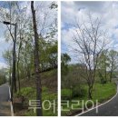 서울미래의원 이미지