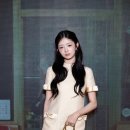 비바리즈