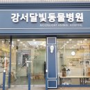 달빛동물병원 이미지